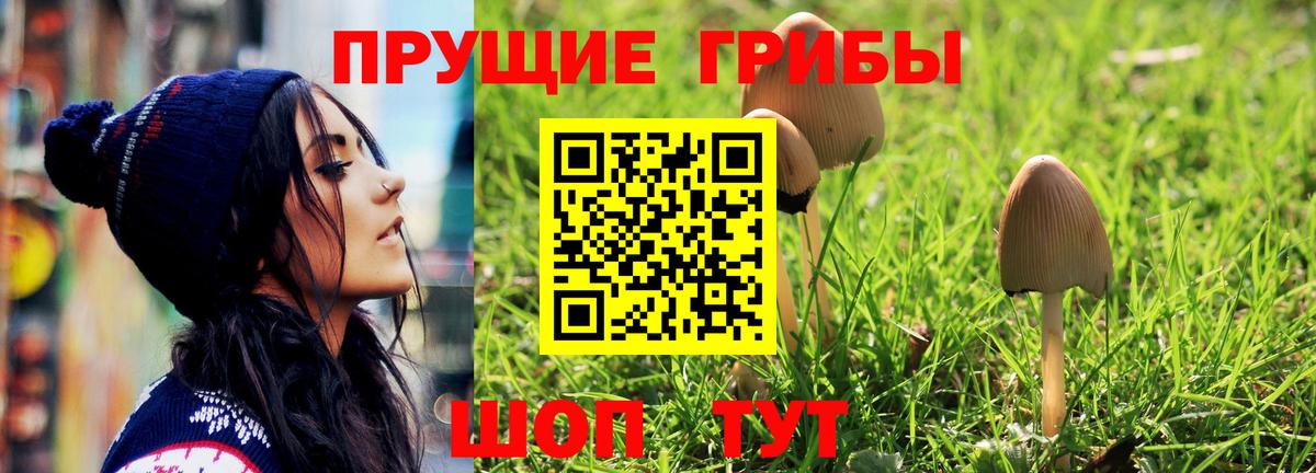 Галлюциногенные грибы GOLDEN TEACHER  Галлюциногенные грибы MAGIC MUSHROOMS  Саяногорск  Вход с VPN 